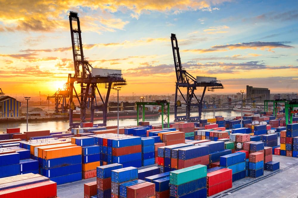 Direct Exporters